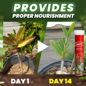 AAFQ® Organic Fertilizer Tablets