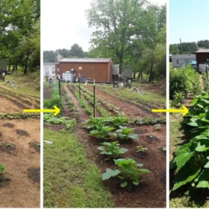 AEXZR® 2 in 1 Vita-Enzyme Solution