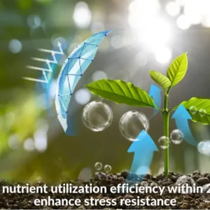 AEXZR® 2 in 1 Vita-Enzyme Solution