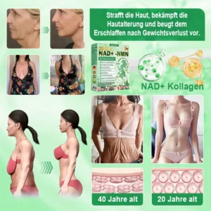 🔥 Neu eingetroffen | Purelora® 1064 Crystal Microneedle Nano-System mit NAD⁺-Aktivierung & 20-in-1 Slim- & Healthy-Patch-Lösung