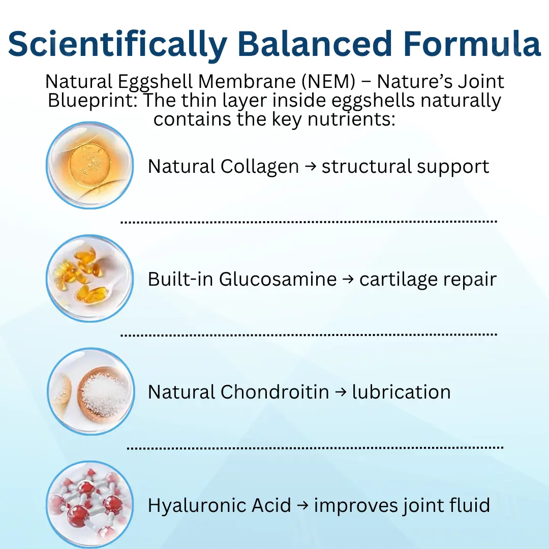 AEXZR® Pet Joint Health Revival Formula