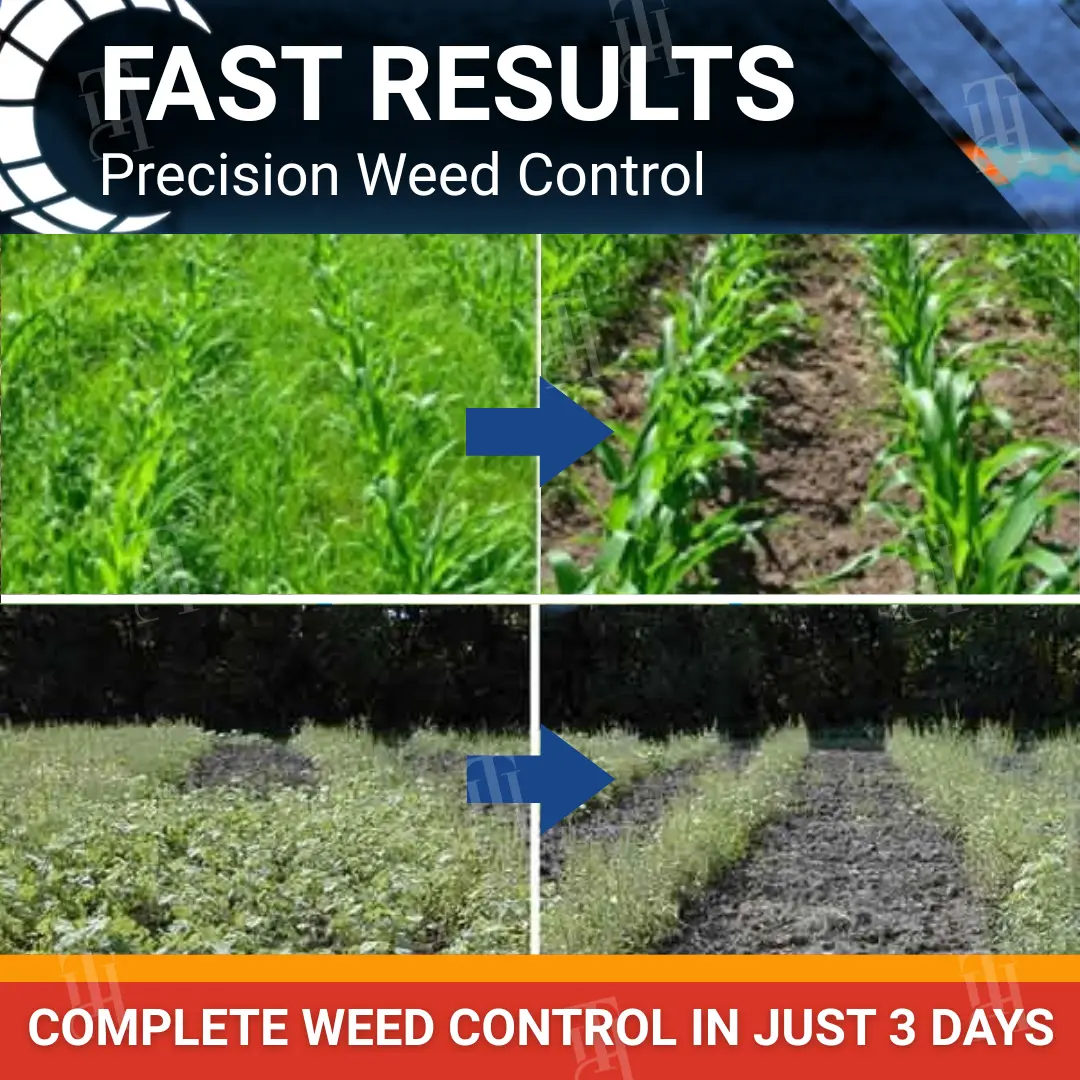 RZXEA™ Halauxifen-methyl Cereals Herbicide