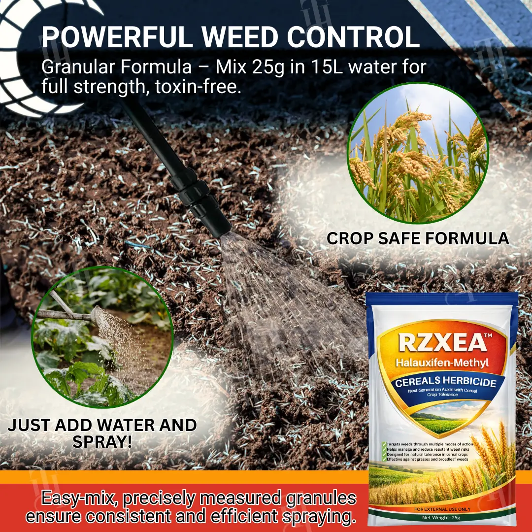 RZXEA™ Halauxifen-methyl Cereals Herbicide