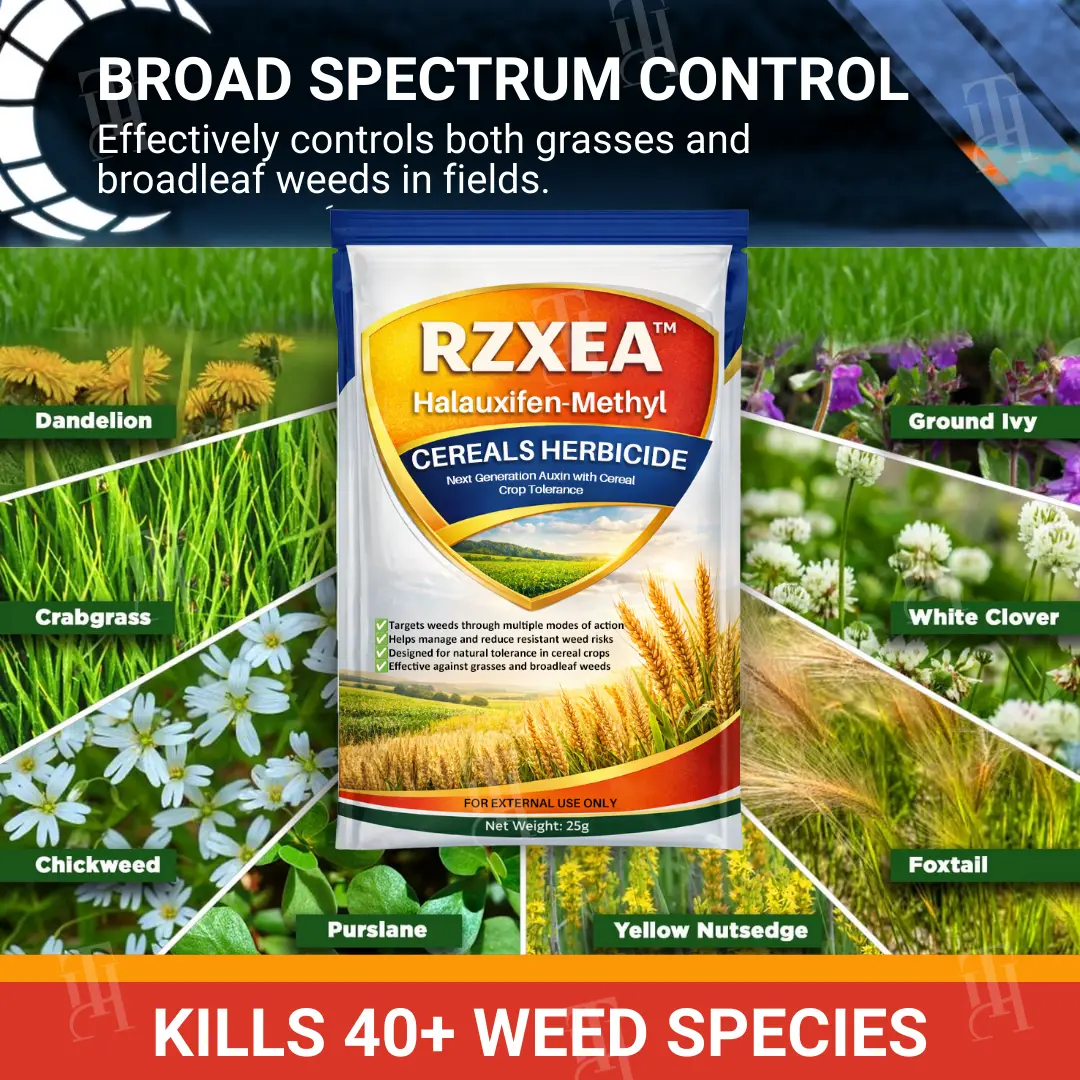RZXEA™ Halauxifen-methyl Cereals Herbicide