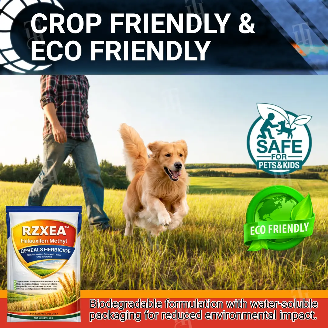 RZXEA™ Halauxifen-methyl Cereals Herbicide