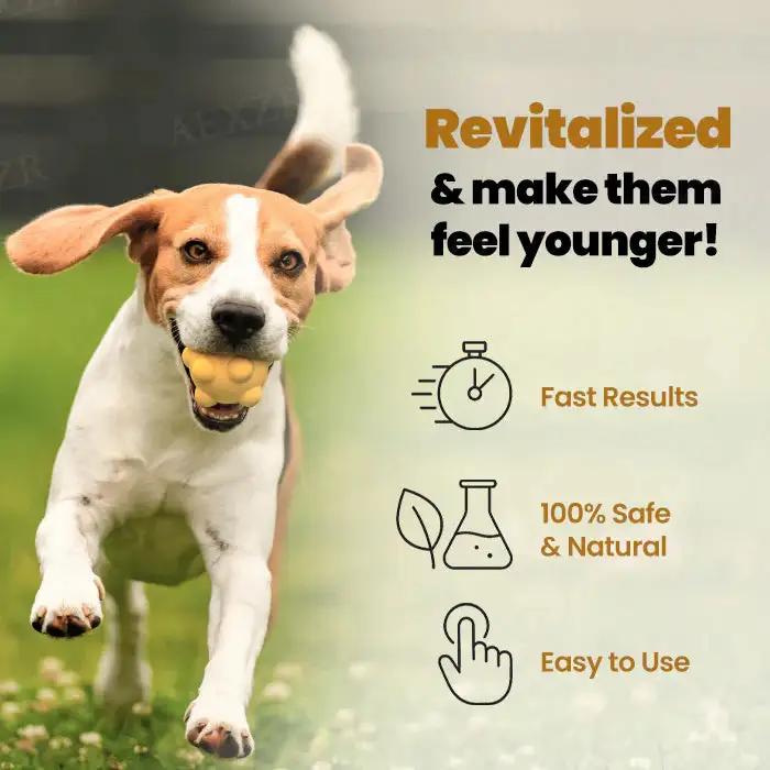 RZXEA™ Joint Rejuvenation Drops