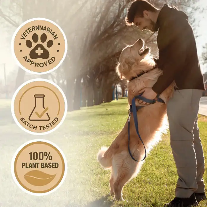 RZXEA™ Joint Rejuvenation Drops