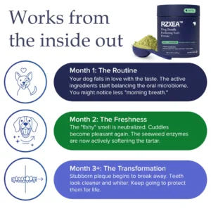 RZXEA™ Tartar & Plaque Remover