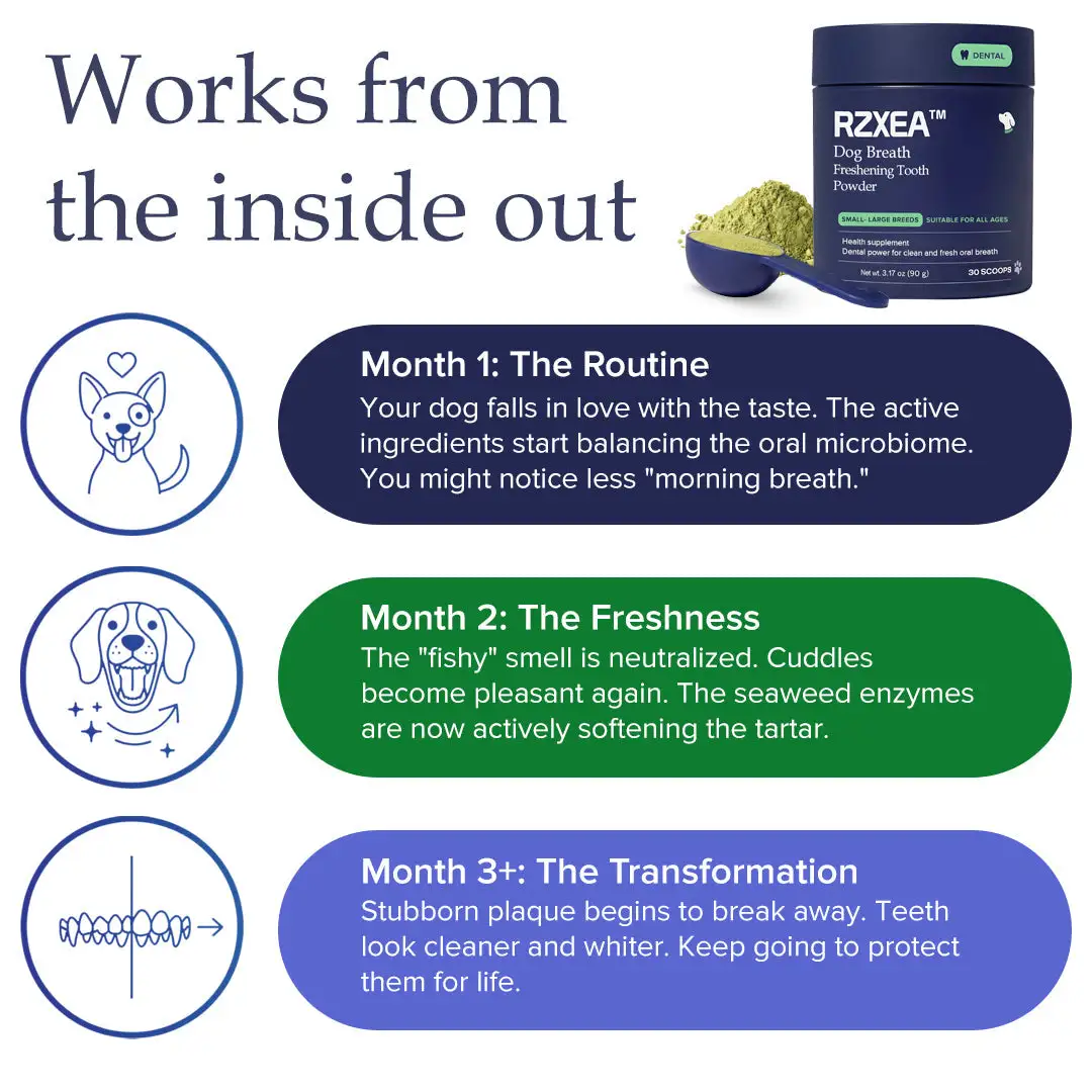 RZXEA™ Tartar & Plaque Remover