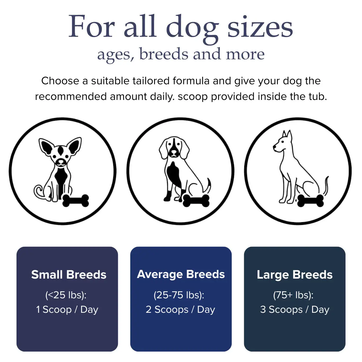 RZXEA™ Tartar & Plaque Remover