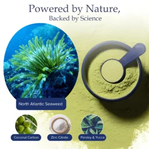 RZXEA™ Tartar & Plaque Remover