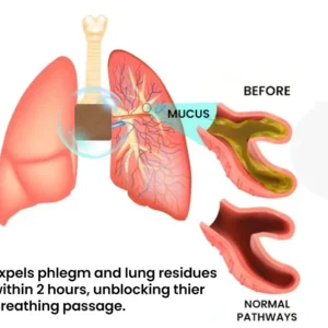 Seagril™ Tri-NanoTargetCOPD Relief Patch