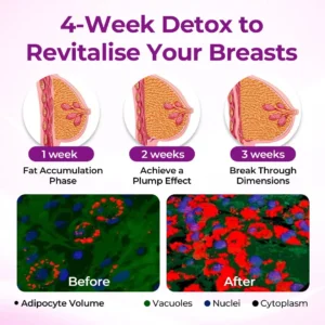 SEAGRIL® MaxCurve Sculpting & Volumizing Bust Oil