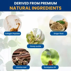 Seagril™ Tri-NanoTargetCOPD Relief Patch