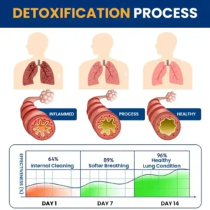 Seagril™ Tri-NanoTargetCOPD Relief Patch
