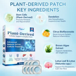 ๐ญ๐๐๐๐๐๐๐ยฎ ๐ท๐ณ๐จ๐ต๐ป-๐ซ๐ฌ๐น๐ฐ๐ฝ๐ฌ๐ซ ๐ช๐๐๐๐๐๐๐ ๐บ๐๐๐๐๐๐ ๐ช๐๐๐๐๐๐ ๐ท๐๐๐๐(Plant energy helps reduce weight by improving the body's lymphatic system)๐ฉน