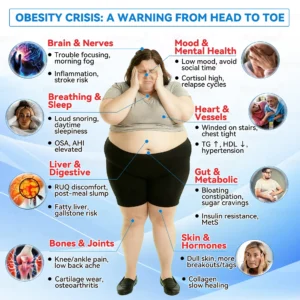 ๐ญ๐๐๐๐๐๐๐ยฎ ๐ท๐ณ๐จ๐ต๐ป-๐ซ๐ฌ๐น๐ฐ๐ฝ๐ฌ๐ซ ๐ช๐๐๐๐๐๐๐ ๐บ๐๐๐๐๐๐ ๐ช๐๐๐๐๐๐ ๐ท๐๐๐๐(Plant energy helps reduce weight by improving the body's lymphatic system)๐ฉน