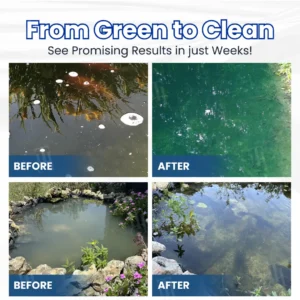 ✨ From Green to Clean Overnight! |⏱️ Crystal Clear in 24 Hours! | KLENIMORE™ Aqua-Guardian Pro Formula
