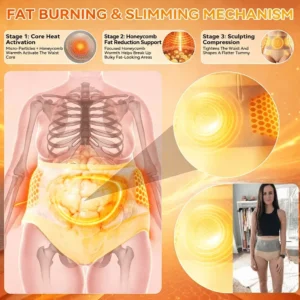 🎖️𝐎𝐟𝐟𝐢𝐜𝐢𝐚𝐥 𝐁𝐫𝐚𝐧𝐝 𝐒𝐭𝐨𝐫𝐞 | Pureslimlab® 🐉✨𝟐𝟎𝟐𝟔 𝐌𝐨𝐫𝐢𝐧𝐠𝐚 & 𝐁𝐞𝐫𝐛𝐞𝐫𝐢𝐧𝐞 𝟒-𝐈𝐧-𝟏 𝐌𝐢𝐜𝐫𝐨-𝐏𝐚𝐫𝐭𝐢𝐜𝐥𝐞 𝐒𝐜𝐮𝐥𝐩𝐭𝐢𝐧𝐠 & 𝐅𝐚𝐭-𝐁𝐮𝐫𝐧 𝐒𝐡𝐨𝐫𝐭𝐬