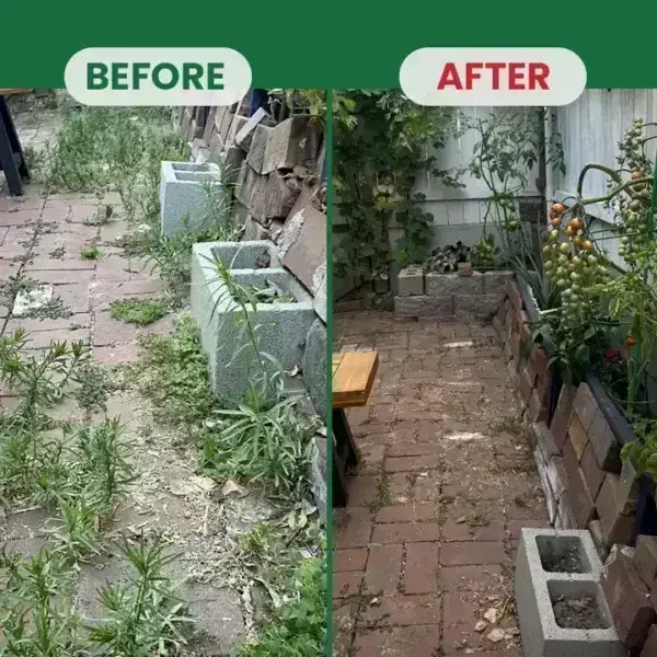 Kill Bamboo, Stumps & Invasive Weeds for Good – LIMETOW® Root Killer Powder
