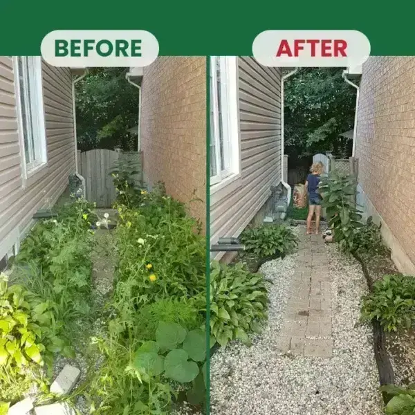 Kill Bamboo, Stumps & Invasive Weeds for Good – LIMETOW® Root Killer Powder