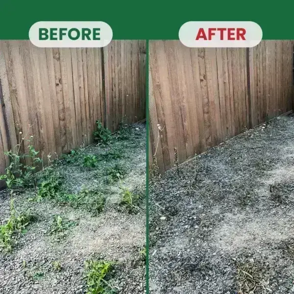 Kill Bamboo, Stumps & Invasive Weeds for Good – LIMETOW® Root Killer Powder