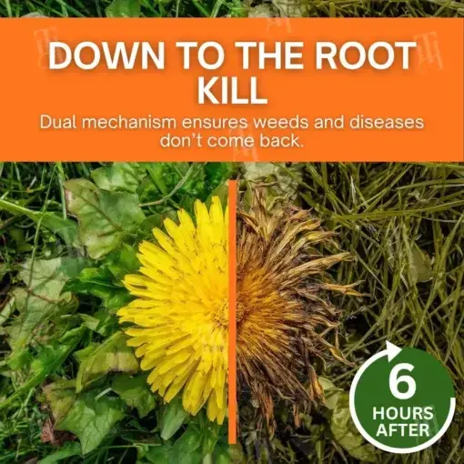 SEAGRIL® 2-in-1 Herbicide 2026 | Fast Weed Control