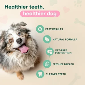 SEAGRIL™ Dental Spray – Stop Bad Breath & Tartar at the Source