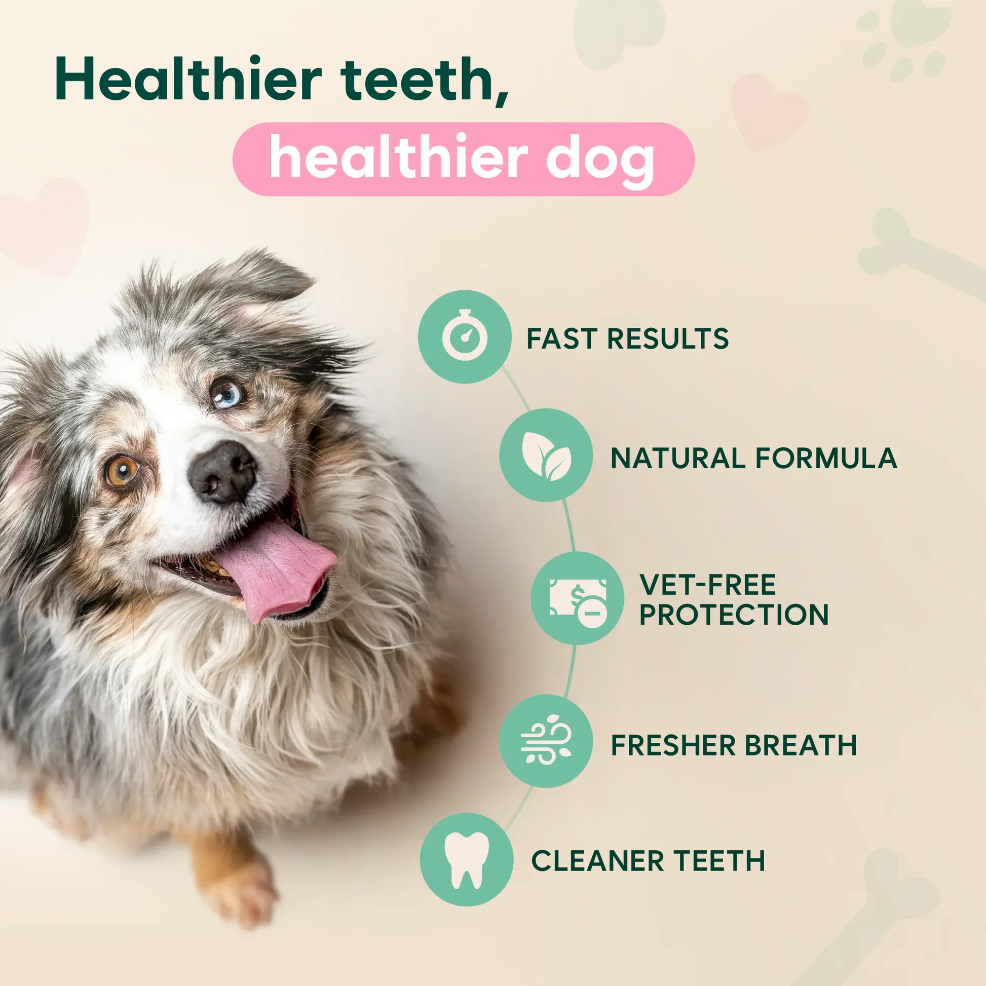 SEAGRIL™ Dental Spray – Stop Bad Breath & Tartar at the Source