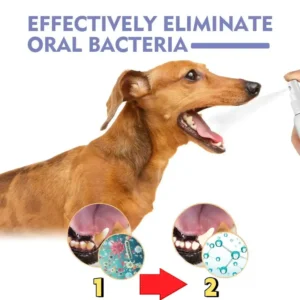 SEAGRIL® Dental Care Drops for Dogs & Cats