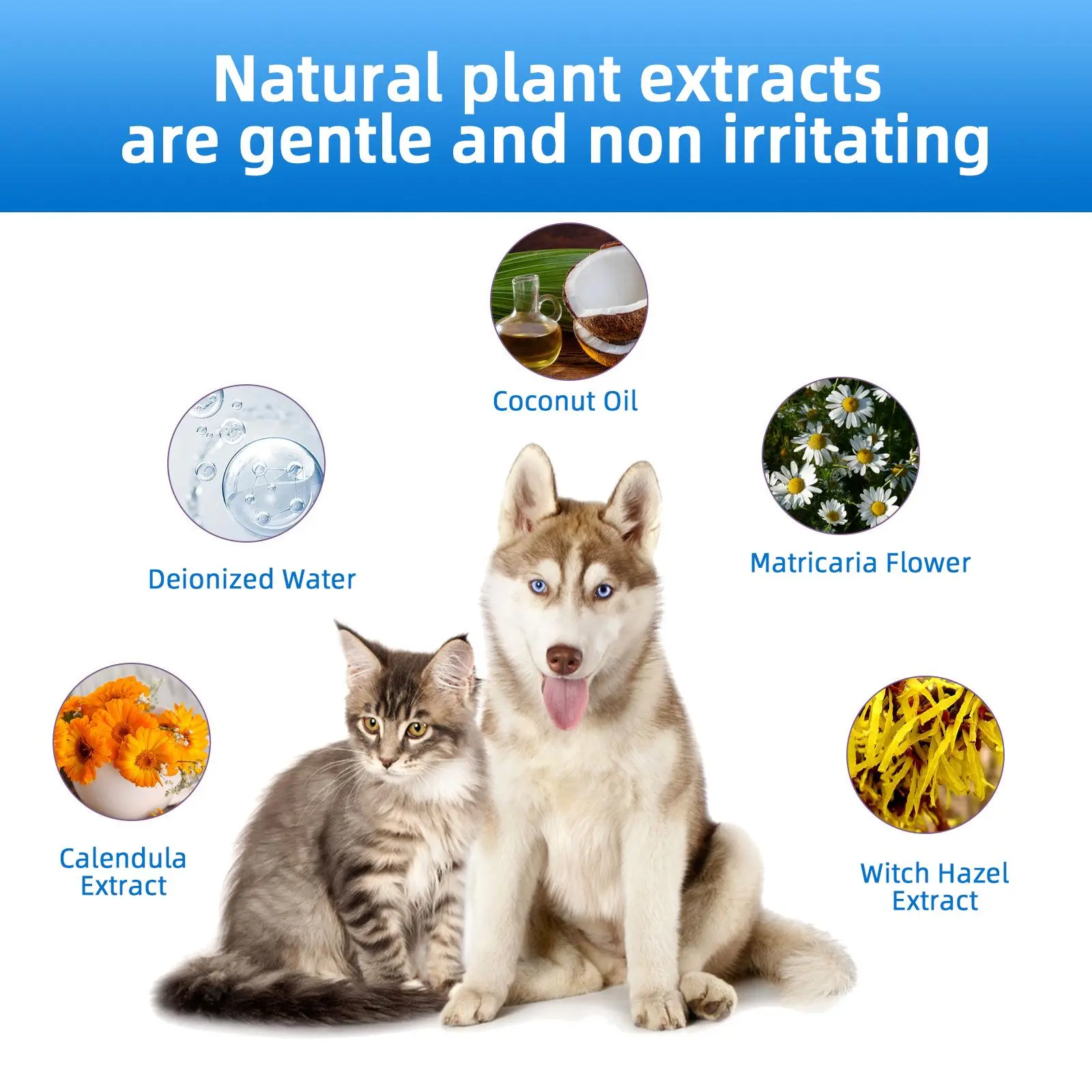 SEAGRIL® Gentle Pet Ear Wash | Odor-Free Cleaning for Dogs & Cats